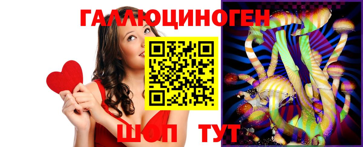 Сланцы  Галлюциногенные грибы Psilocybe  Вход с VPN 